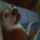 joel