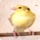 macama