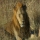 oceane7unblogfr