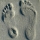 ameletph2n