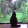 mychadenantes