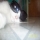 monami