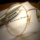 www20000sallescom