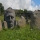 valluetangebert