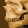 fredtattooclan