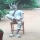 maudandseyram