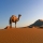 desertpure
